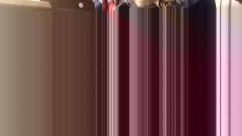 Snapshot of trypodman chatting on December 11, 4:31 pm trypodman online show from December 11, 4:31 pm