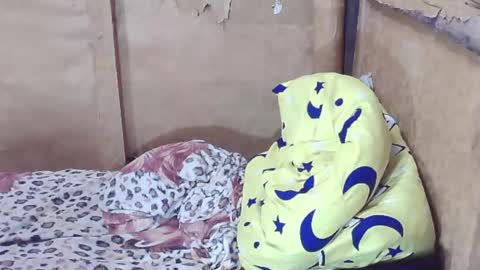 carmella online show from December 29, 2:38 am