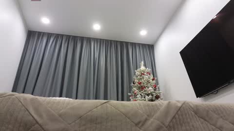 Ariana online show from December 16, 2:25 am