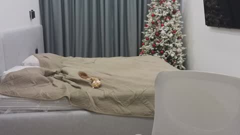 Ariana online show from December 30, 12:11 am