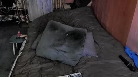 Lana online show from March 6, 10:30 am