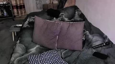 Lana online show from November 20, 9:58 pm