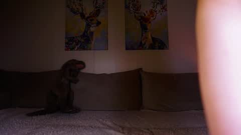 Maria 3 online show from January 9, 9:16 pm