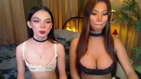 Snapshot of twinktransshanel chatting on October 8, 5:05 am twinktransshanel online show from October 8, 5:05 am