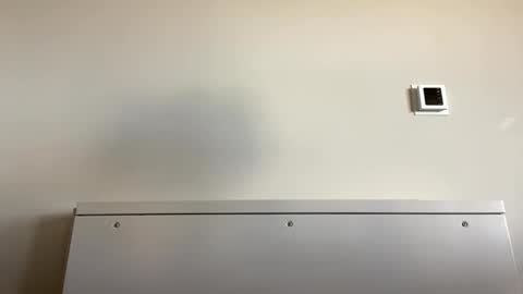 TylerC online show from September 21, 6:09 pm