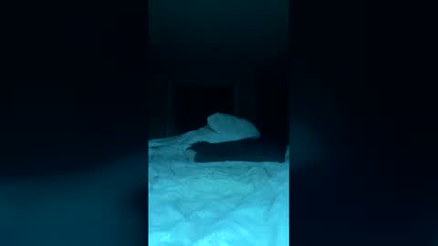 Snapshot of tylerguy1234 chatting on December 14, 1:11 am tylerguy1234 online show from December 14, 1:11 am