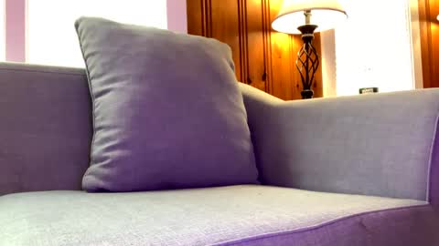 Snapshot of tylersands chatting on February 7, 2:58 pm Tyler Sands online show from February 7, 2:58 pm