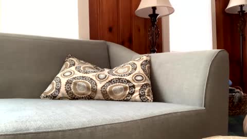 Snapshot of tylersands chatting on February 11, 2:46 pm Tyler Sands online show from February 11, 2:46 pm