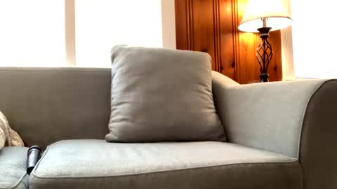 Snapshot of tylersands chatting on February 22, 3:14 pm Tyler Sands online show from February 22, 3:14 pm