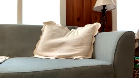 Snapshot of tylersands chatting on March 2, 3:05 pm Tyler Sands online show from March 2, 3:05 pm