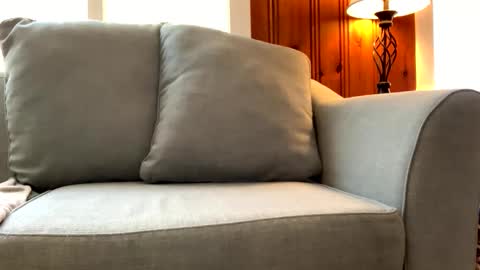 Snapshot of tylersands chatting on March 7, 3:49 pm Tyler Sands online show from March 7, 3:49 pm