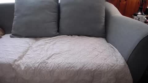 Snapshot of tylersands chatting on October 19, 1:45 pm Tyler Sands online show from October 19, 1:45 pm