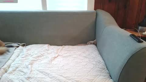 Snapshot of tylersands chatting on December 16, 12:54 pm Tyler Sands online show from December 16, 12:54 pm