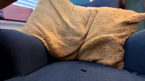 Snapshot of ukclive chatting on February 5, 1:22 pm ukclive online show from February 5, 1:22 pm