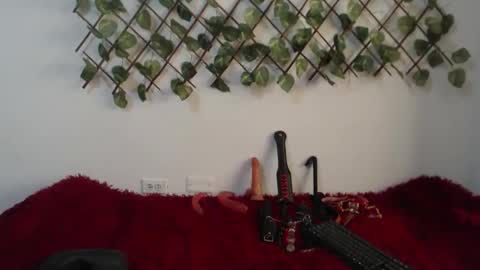 vaiolet online show from November 10, 1:54 pm