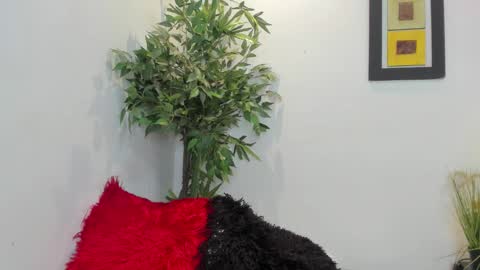 valeri_tafur online show from November 12, 12:33 am