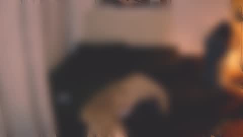 Little Devil online show from December 7, 3:08 pm