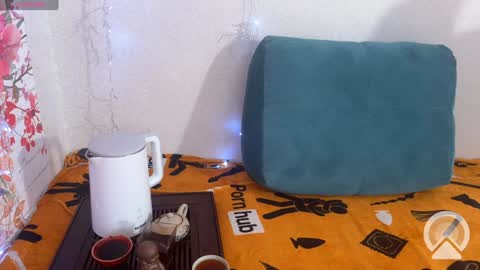 Snapshot of vasya_sylvia chatting on December 10, 8:08 am Vasya Sylvia online show from December 10, 8:08 am