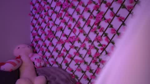 Snapshot of velvet_vice chatting on November 4, 6:18 pm Polly online show from November 4, 6:18 pm