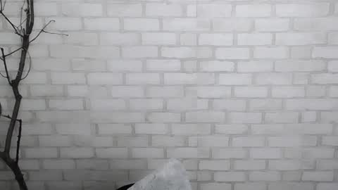 Snapshot of veryveryshygirl chatting on December 28, 3:59 pm Ana online show from December 28, 3:59 pm