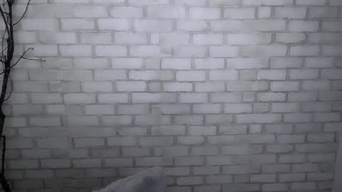 Snapshot of veryveryshygirl chatting on December 30, 1:36 pm Ana online show from December 30, 1:36 pm