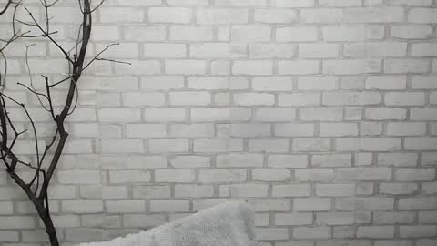 Snapshot of veryveryshygirl chatting on January 28, 12:43 pm Ana online show from January 28, 12:43 pm