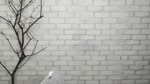 Snapshot of veryveryshygirl chatting on February 3, 2:34 pm Ana online show from February 3, 2:34 pm