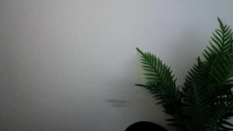 Snapshot of veryveryshygirl chatting on September 30, 12:10 pm Ana online show from September 30, 12:10 pm