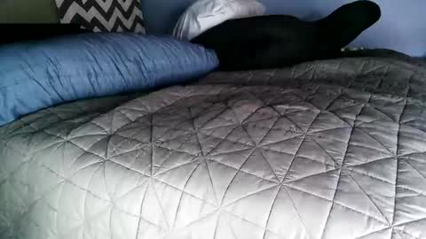 Snapshot of vexnew chatting on November 2, 8:00 pm Vexnew online show from November 2, 8:00 pm