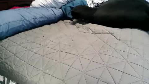 Snapshot of vexnew chatting on November 4, 6:51 pm Vexnew online show from November 4, 6:51 pm