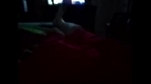 viciouzz1 online show from November 11, 11:27 pm