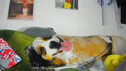 vicky manuela online show from February 18, 11:30 pm