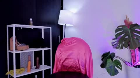 Snapshot of vickygrey1 chatting on November 27, 8:44 pm Vicky Greys online show from November 27, 8:44 pm