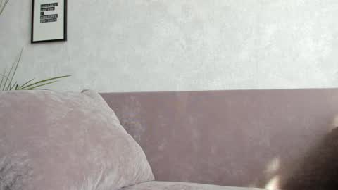 Vincent.  uncut 18cm online show from September 10, 11:32 am