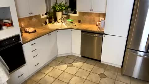 Snapshot of viviannexxx2022 chatting on January 20, 11:35 am Vivlove online show from January 20, 11:35 am