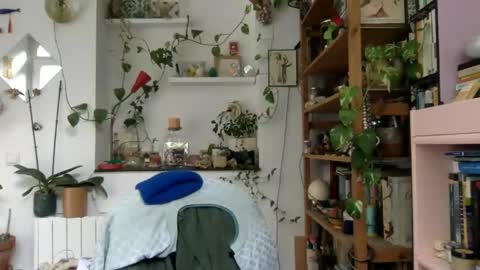 Viv online show from December 3, 9:33 am