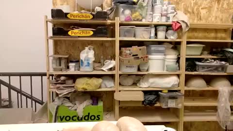 Viv online show from February 7, 9:04 pm