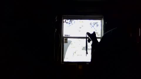 waterfire420 online show from January 5, 4:59 pm