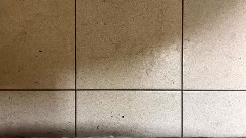 Snapshot of webchatter99 chatting on January 2, 7:33 am webchatter99 online show from January 2, 7:33 am