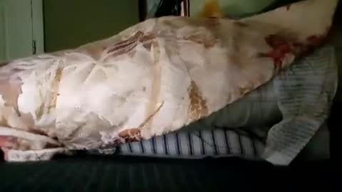 welldny online show from October 19, 6:08 pm