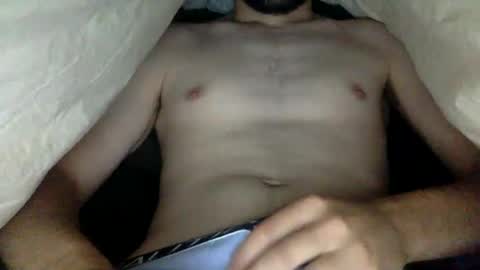 wholesomebull00 online show from October 28, 3:21 am