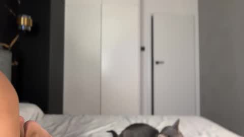 Alice online show from October 2, 4:14 pm