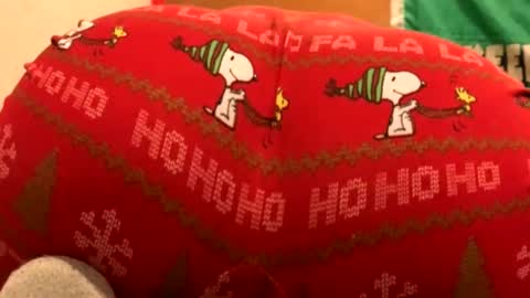 whyou12 online show from November 21, 9:57 pm