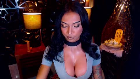 wildara online show from February 18, 10:27 am