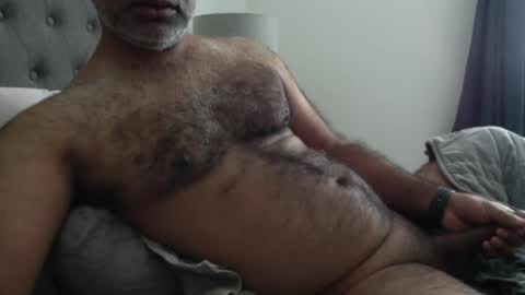 wildhungry online show from October 3, 9:56 pm