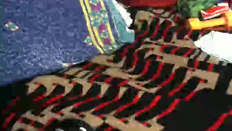 Willamyth online show from February 18, 8:49 am