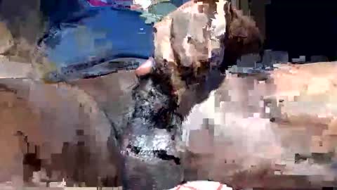 Snapshot of willianel chatting on December 13, 11:43 pm willianel online show from December 13, 11:43 pm