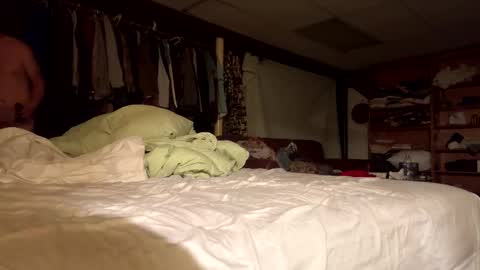 willy_dirk online show from November 8, 10:04 am