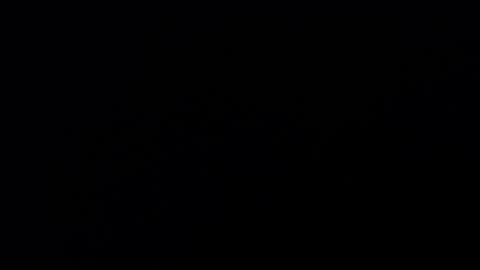 Annie online show from February 19, 9:03 pm