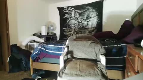 wolfman79 online show from January 19, 1:33 pm